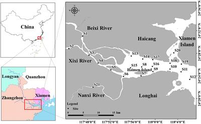 Phytoplankton Species Diversity Patterns and Associated Driving Factors in China’s Jiulong River Estuary: Roles That Nutrients and Nutrient Ratios Play